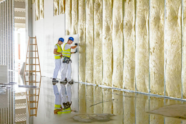 Best Insulation Replacement Services  in Harrison, NY